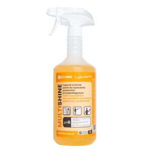 Ecoshine Multishine 1L