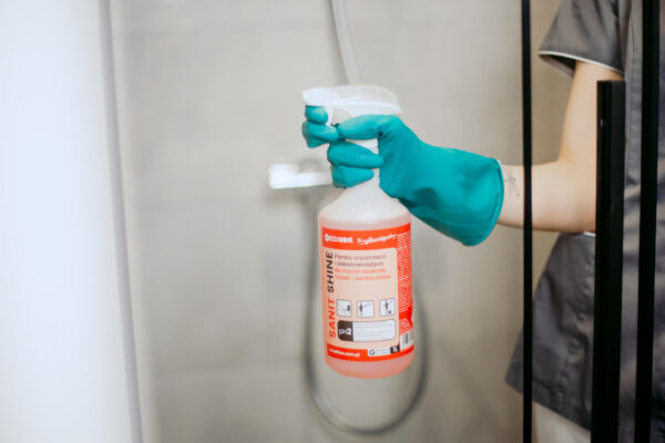 Ecoshine Sanit Shine 1L